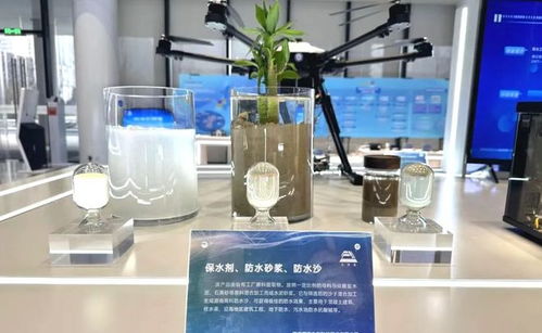 全球首創！